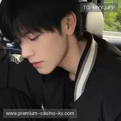 嵇蒙飚